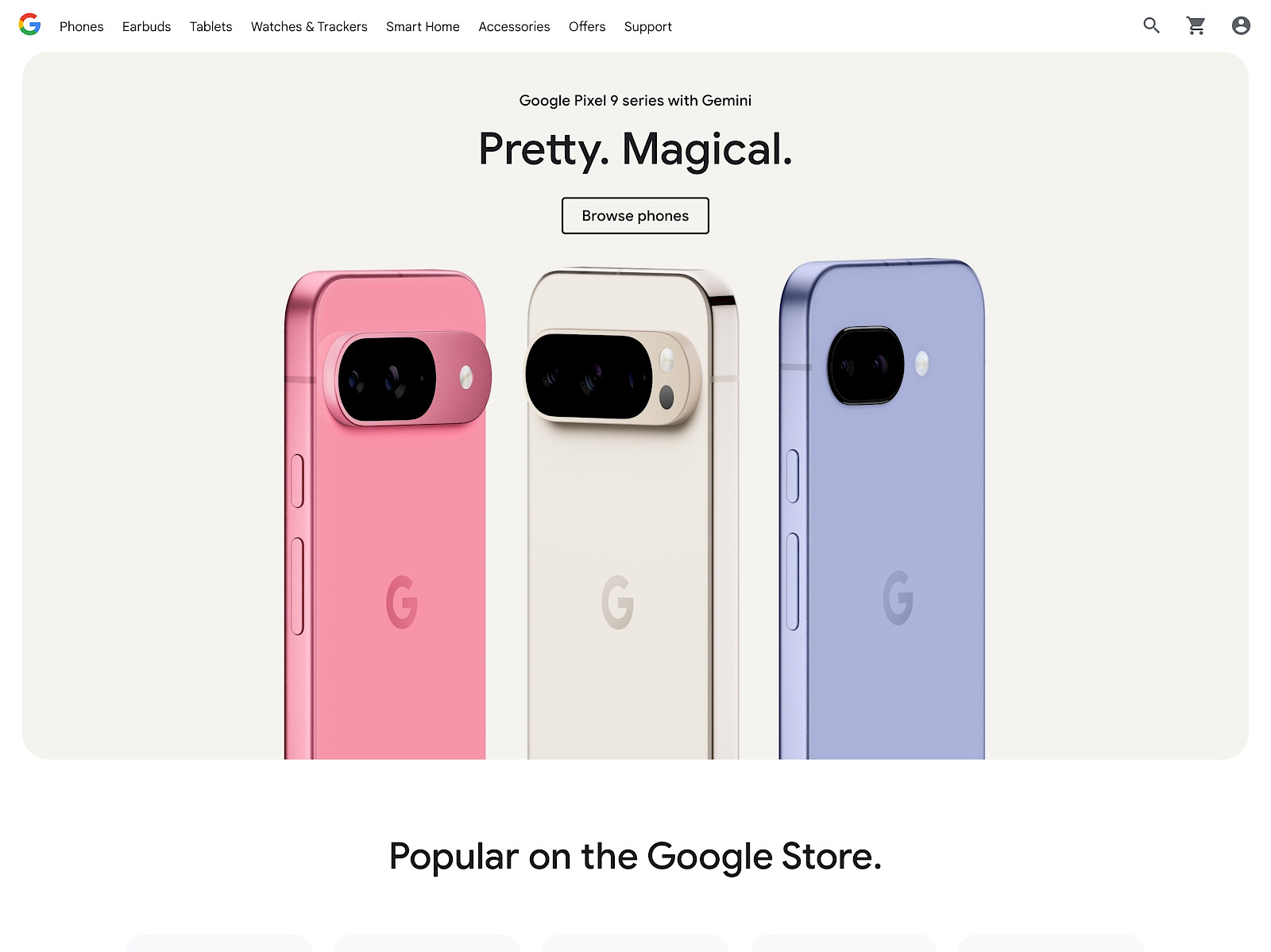 Google Store Screenshot