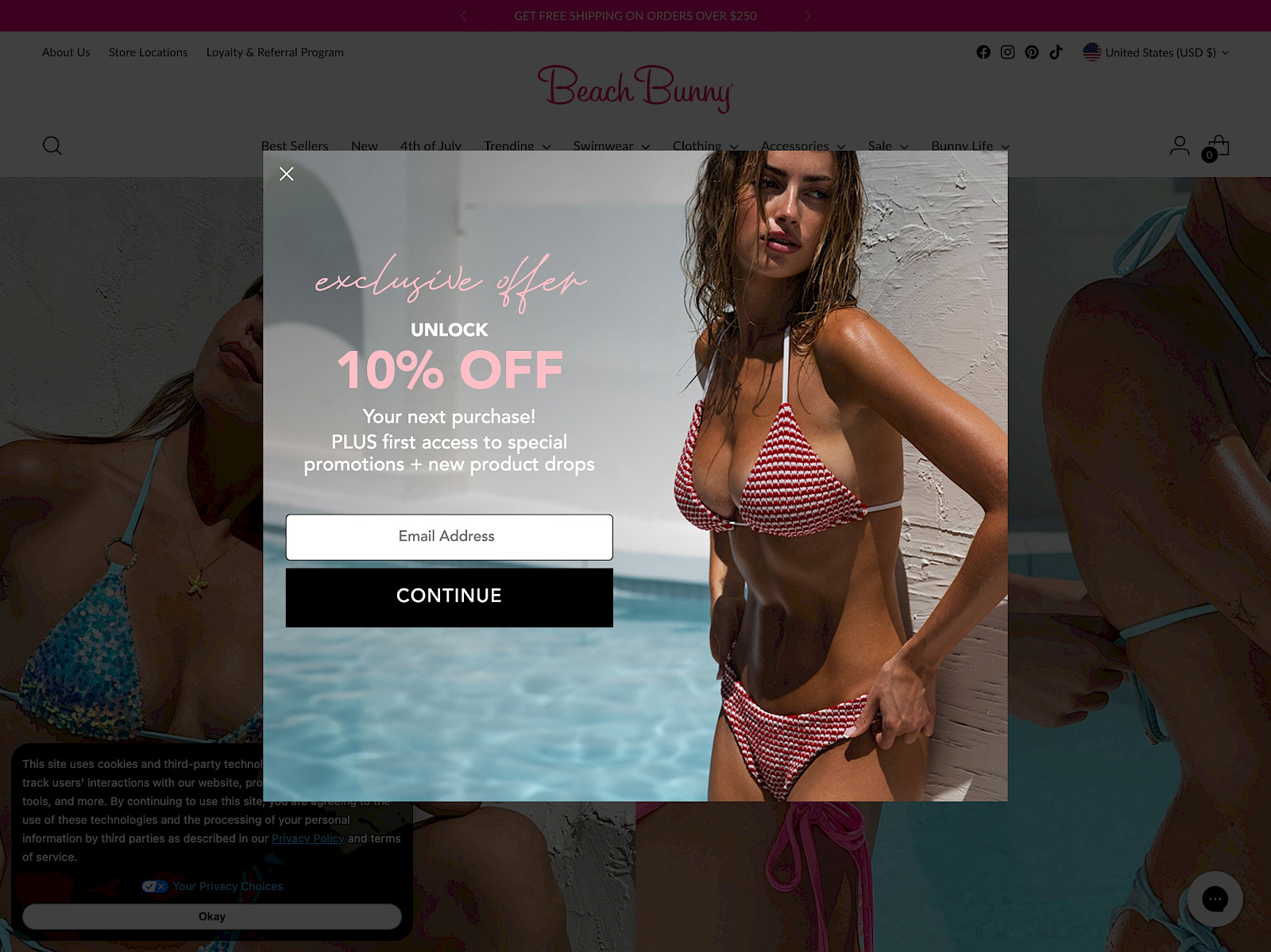 Beach Bunny Screenshot