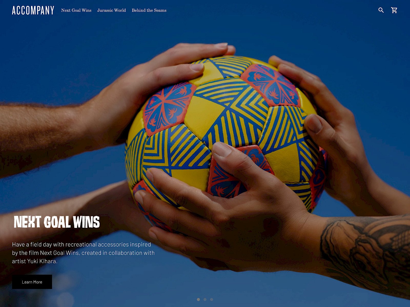 Accompany Screenshot