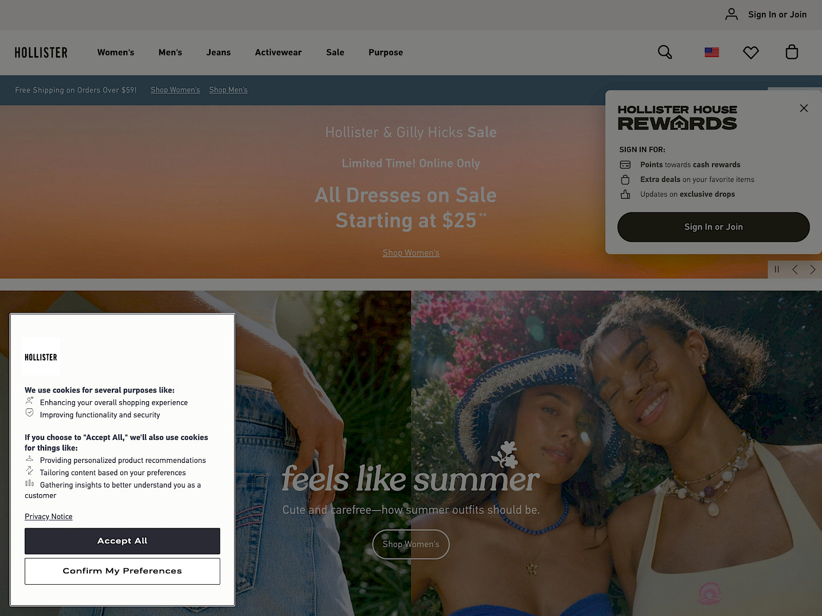 Hollister Screenshot